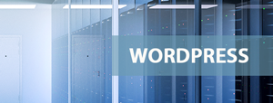 Button Webhosting Wordpress2