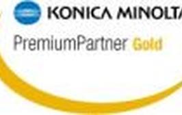 partnerlogo gold klein